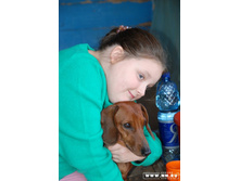 ��� ���������