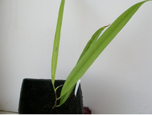 ����������  ������  ����