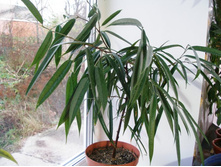 �����������  ���