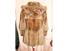 ��� ��� 101.jpg