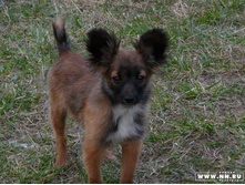 24.10.2007 �����