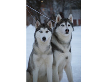 ���� � ����.jpg