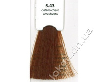 kraska-dlya-volos-kaaral-baco-color-5-43--medno-zolotistyy-svetlyy-kashtan-100-ml-13365_big.jpg