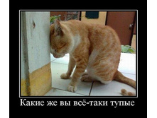 1311477191_demotivatory_09.jpg