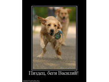 ���� �������.jpg