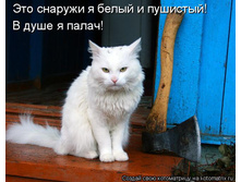 ��� ���.jpg