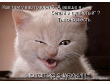 ����� � ��������.jpg