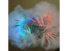 optovolokno 162001.jpg