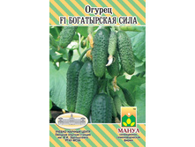 F1 ����������� ����.jpg