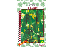 F1 �����.jpg