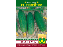 F1 ��������.jpg