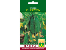 F1 ������.jpg