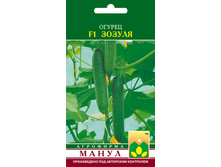 F1 ������.jpg