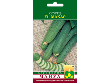 F1 �����.jpg