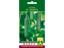 F1 �����.jpg