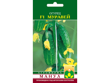 F1 �������.jpg