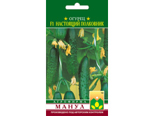 F1 ��������� ���������.jpg