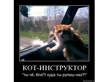 ��� �����.jpg