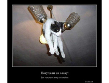 ��� �� �����.jpg