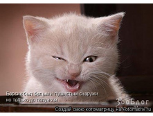 ��� ���.jpg