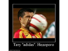 ���� ������.jpg