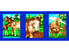 ��������� �������.jpg