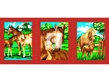 ������� ����������.jpg