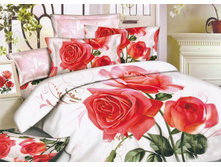 ���. CS427-4.jpg