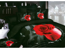 ���. CS430-4.jpg