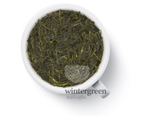 Gutenberg �������� ��� �������