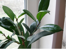 ������������������������+/