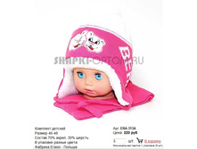 ERA-313A_220 ���.jpg