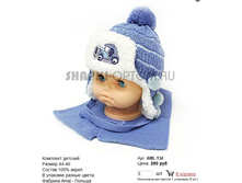 AML-134_250 ���.jpg