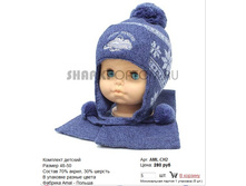 AML-CH2_280 ���.jpg