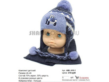 AML-H10-1_310 ���.jpg