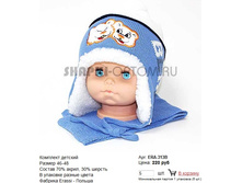 ERA-313B_220 ���.jpg