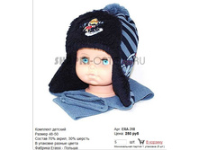 ERA-318_250 ���.jpg