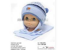 GRA-A453_220 ���.jpg