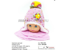 PRO-3382_320 ���.jpg