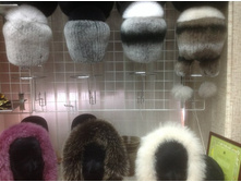 ���� (2).JPG