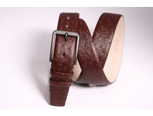 D47-35_330 ���.JPG