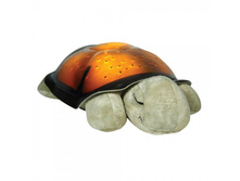 ������ �������� ��������� Twilight Turtle, �����.jpg