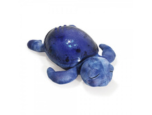 ������ ������� �������� Tranquil Turtle, ����� �����, 1775 �.jpg