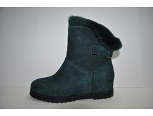 7115 ����� �����.jpg