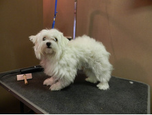 �������� ��