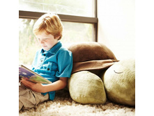 ���������� �������� Twilight Turtle.jpg