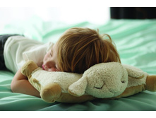 ������� - ������� ������ ������ Slumber Friends.jpg