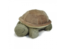 ������� ��������� Baby Turtle, 175 �.jpg