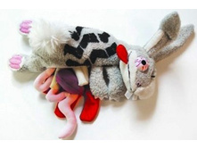 ������������ ������.jpg