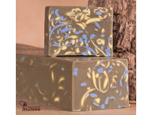 ������� ����� � ������� ������ �����������